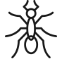 ants icon