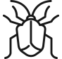 carpet beetle icon