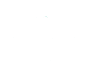 cockroaches-hover-icon