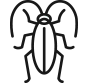 cockroaches icon