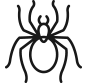 spiders icon