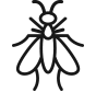 wasps-icon